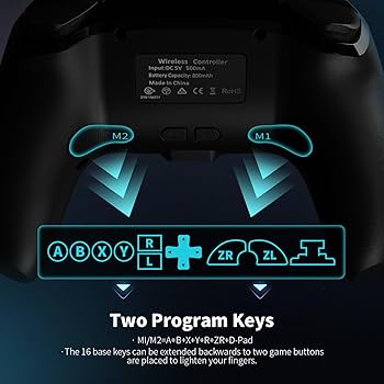 AceGamer【Upgraded】Wireless Switch Controller for Nintendo